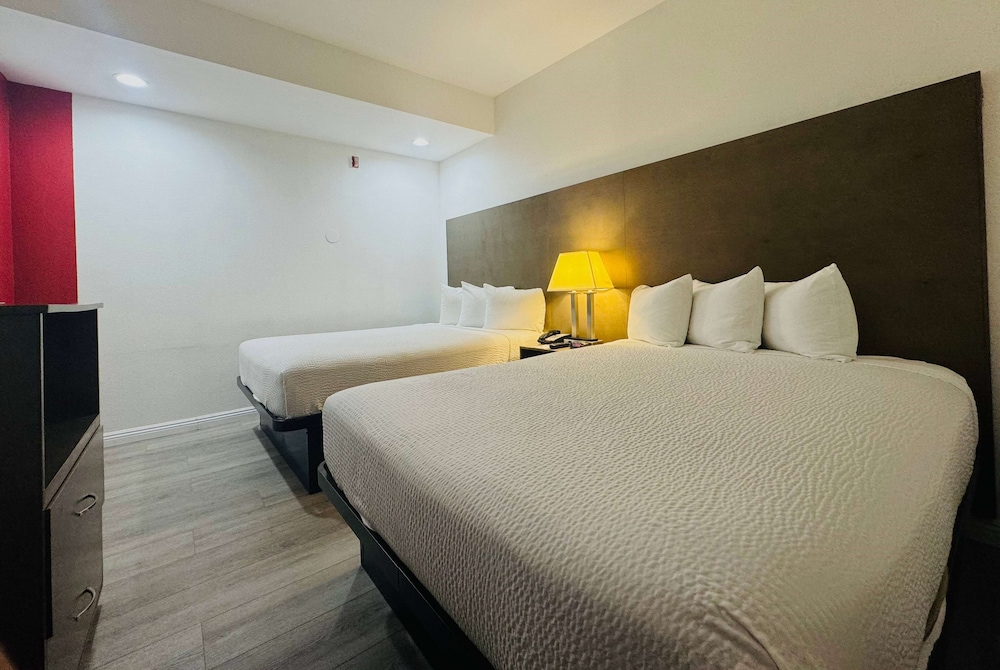 Suite, 1 Bedroom, Non Smoking (2 Queen Beds) photo 2