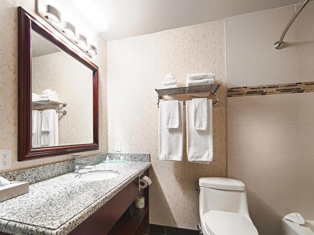 Suite, 1 King Bed, Non Smoking photo 2