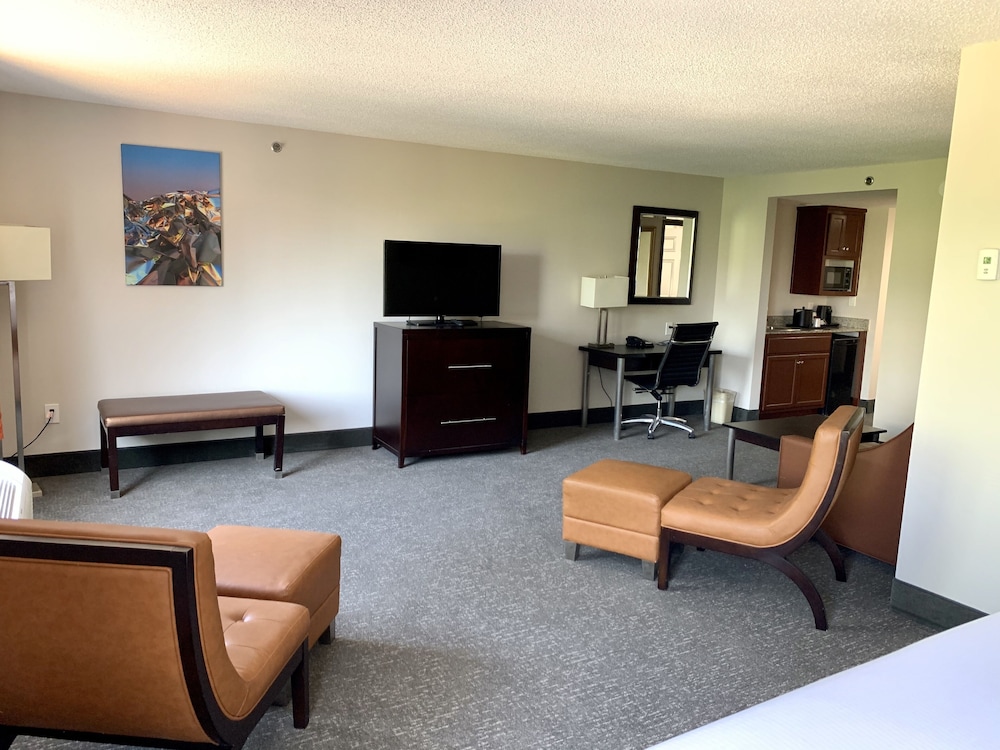 Suite, 1 King Bed, Accessible, Non Smoking - Photo 3