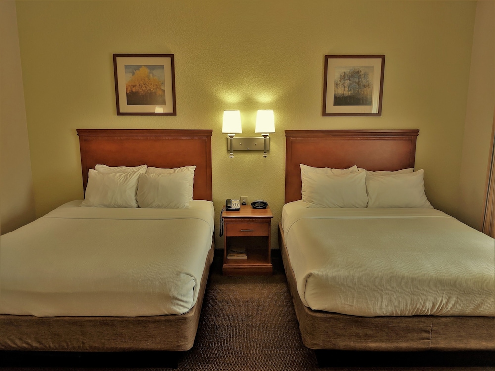 Studio Suite, 2 Double Beds - Photo 1