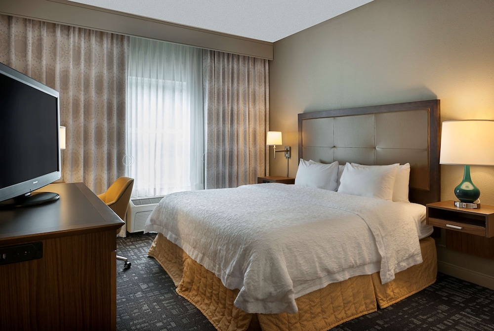Suite, 1 King Bed, Accessible, Bathtub (Mobility & Hearing) - Photo 2