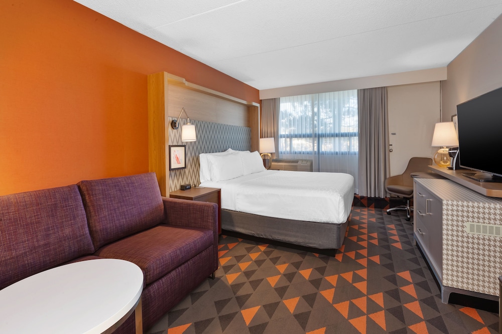 Standard Room, 1 King Bed with Sofa bed