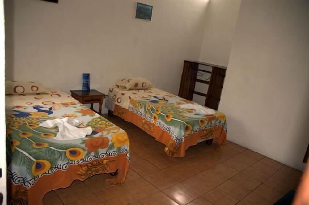 Twin Room, 2 Twin Beds photo 3