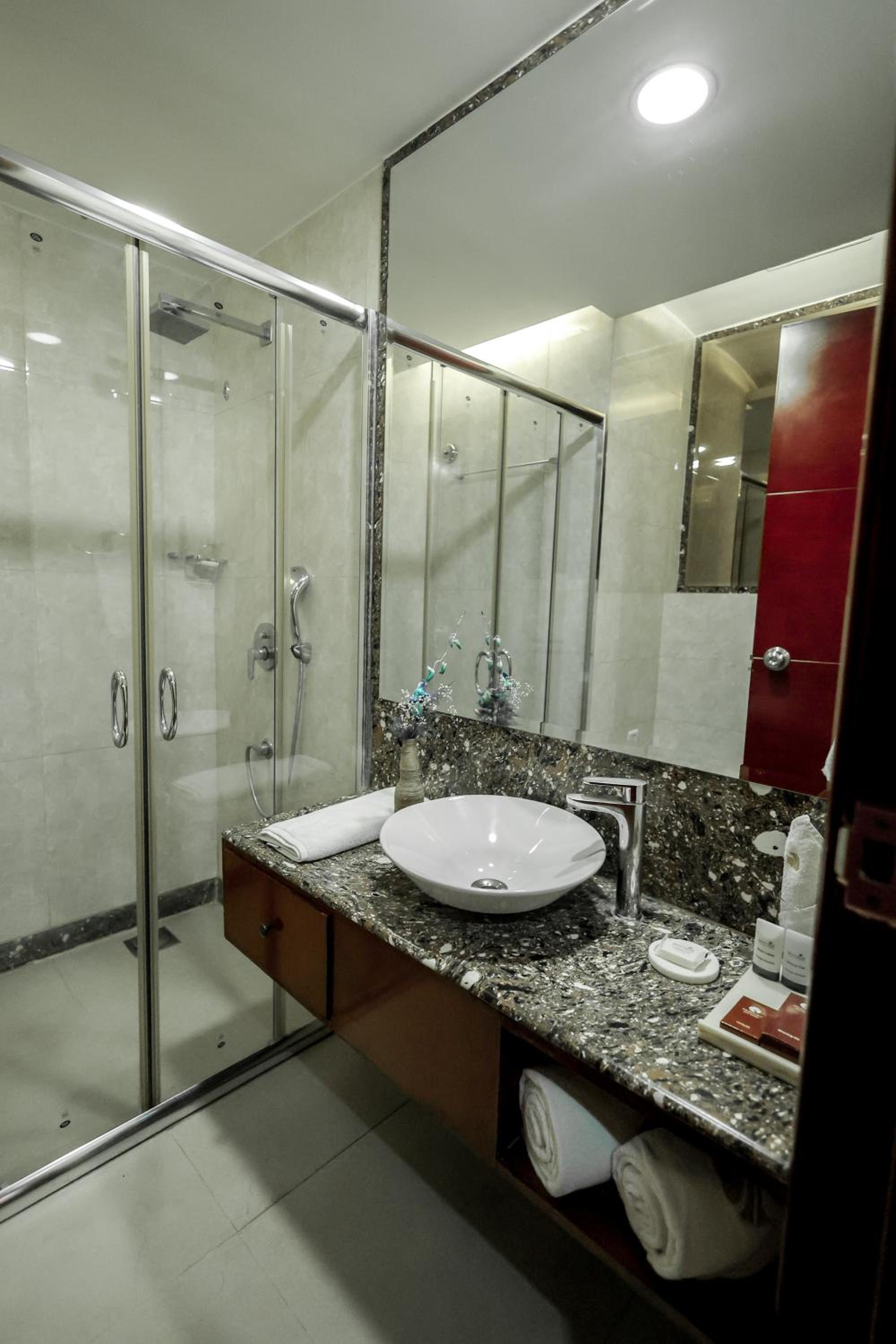 Premium Executive Room photo 2