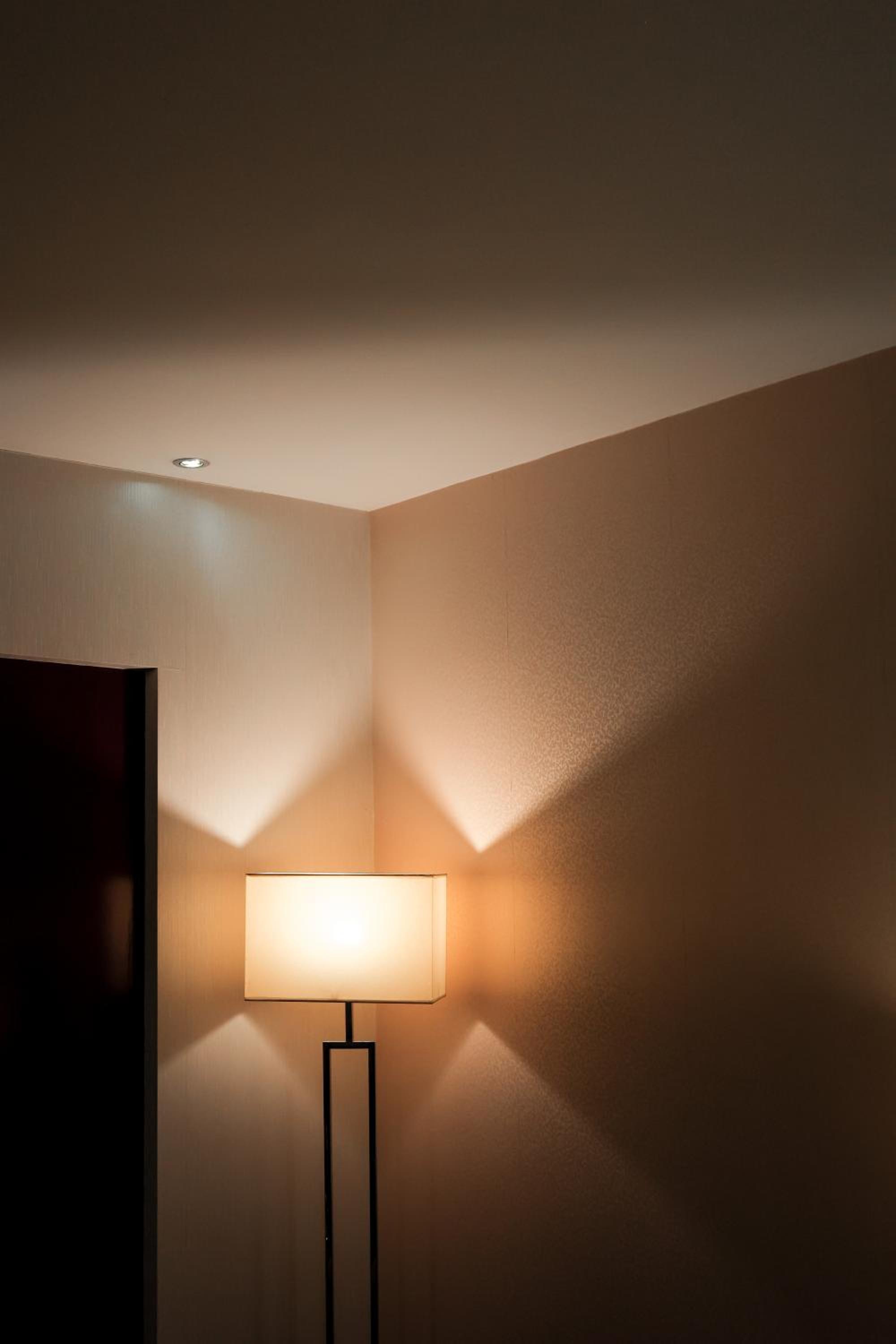 Premium Suite photo 2