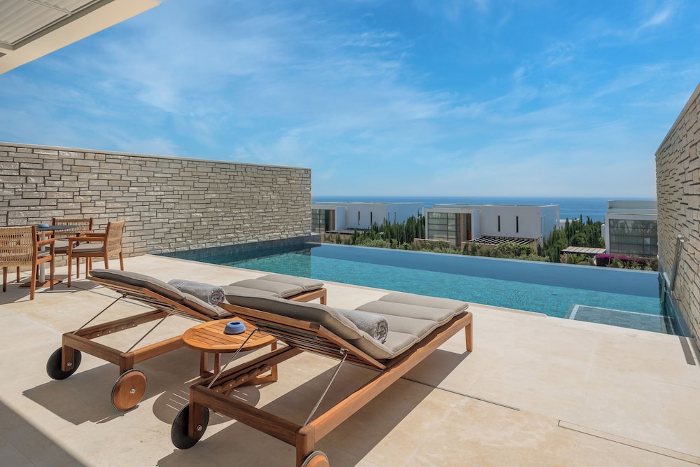 Residence One-Bedroom Suite with Private Pool photo 2