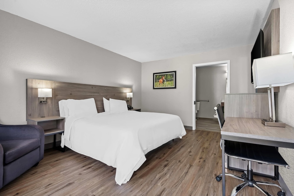 Standard Room, 1 Queen Bed, Non Smoking photo 1