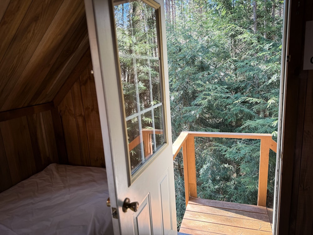 Grand Cabin photo 2