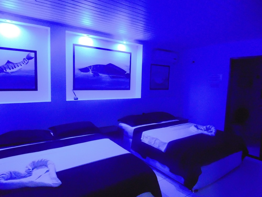 Superior Double Room photo 3