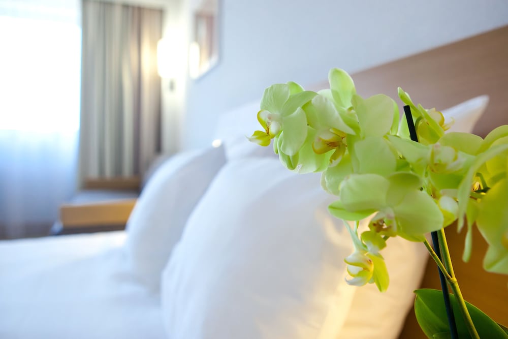 Superior Room, 1 Queen Bed with Sofa bed (Novation) photo 2