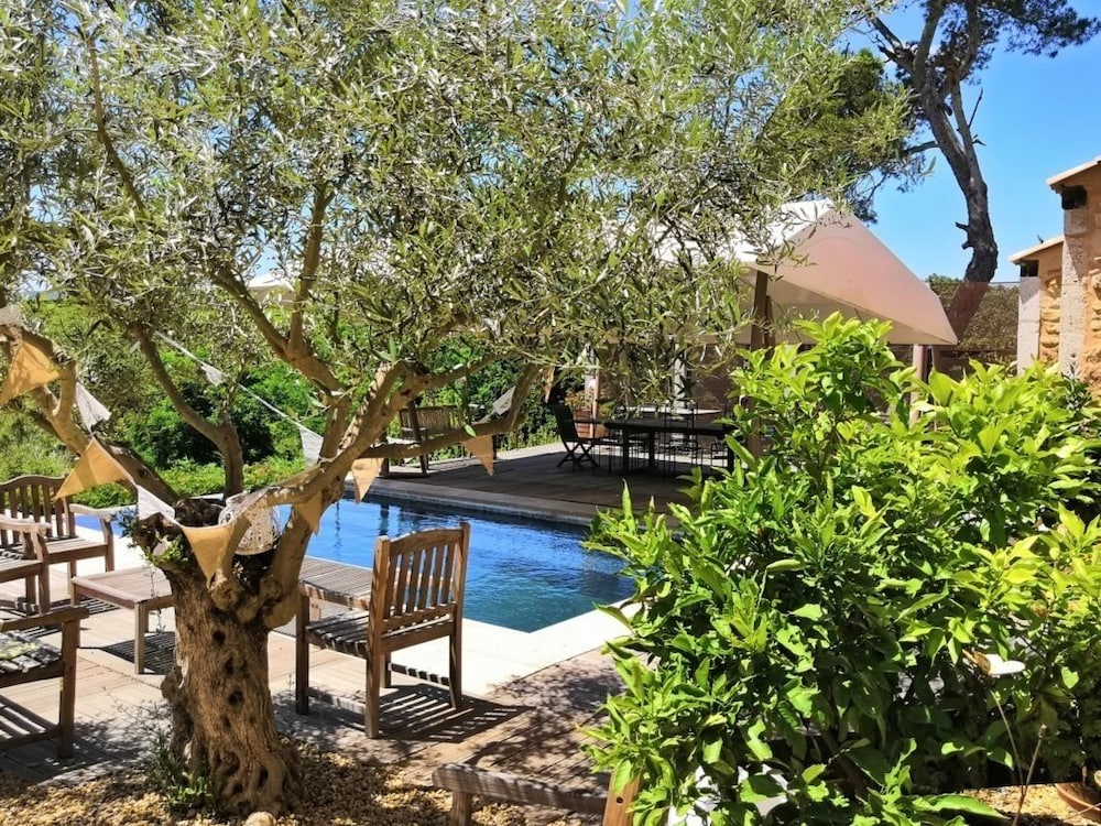Domaine du Soleil Couchant, 사진 4