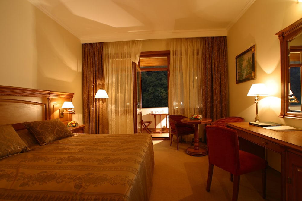 Deluxe Double or Twin Room photo 2