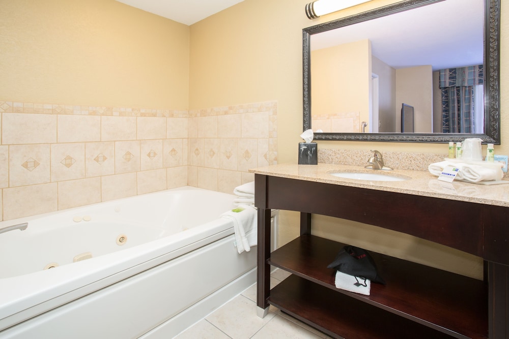 Suite, 1 Bedroom - Photo 4