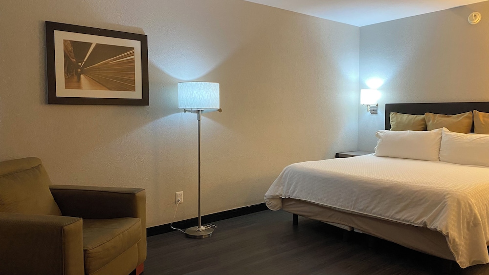 Standard Single Room photo 2