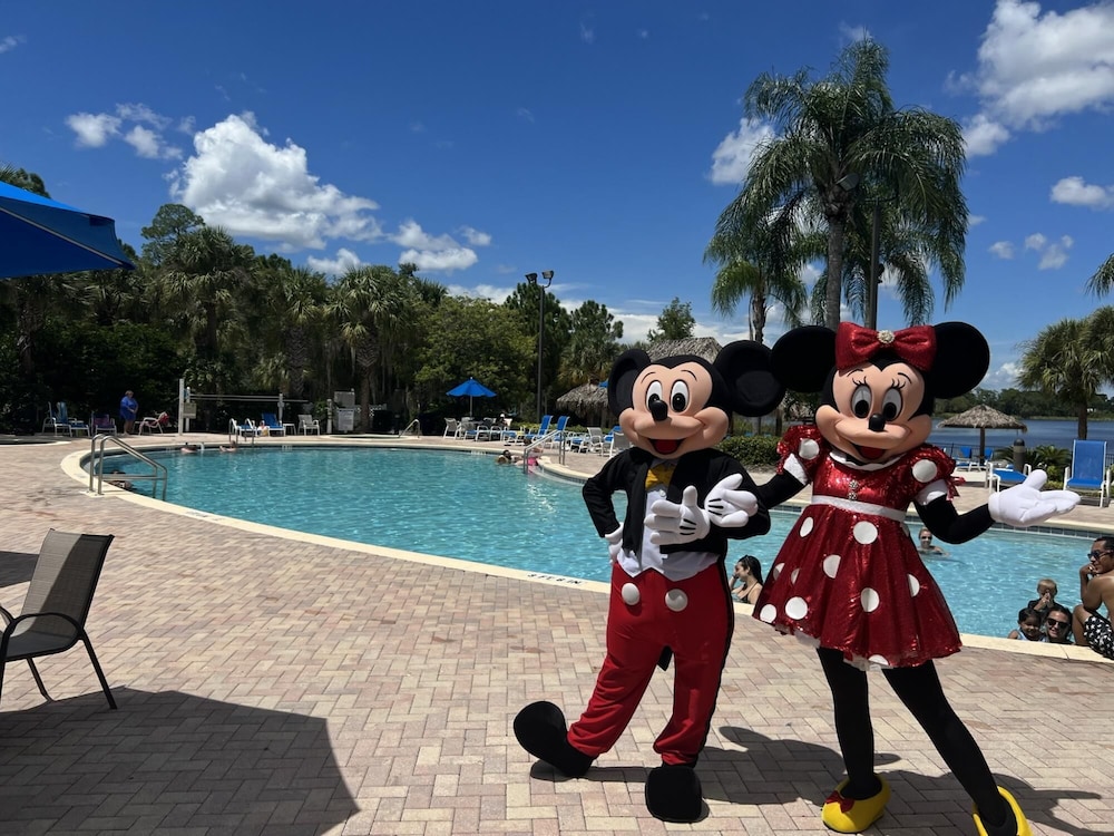 Disney Area Stueetage Parkering Gratis, Billede 26