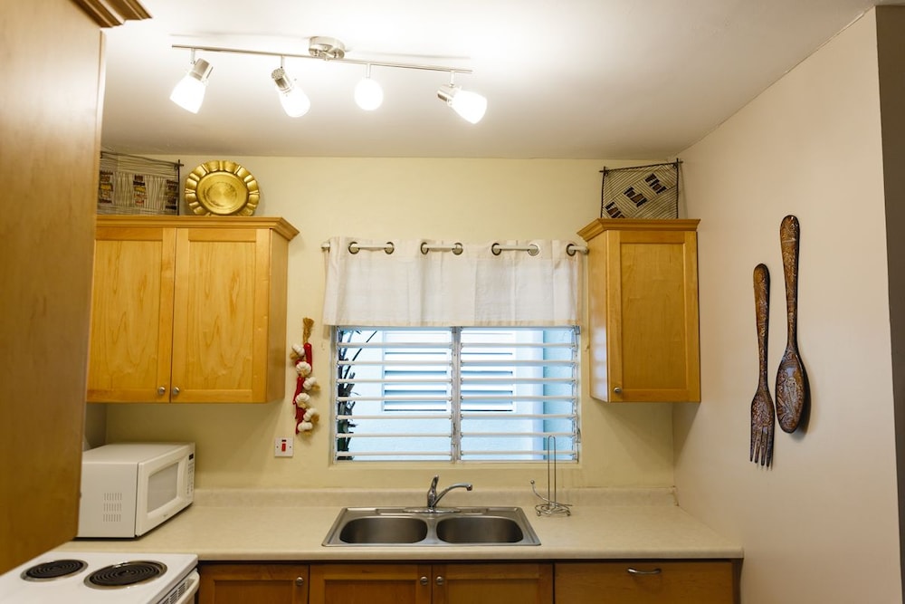 Premium Apartment, 1 Queen Bed, Kitchen, Mountain View photo 3