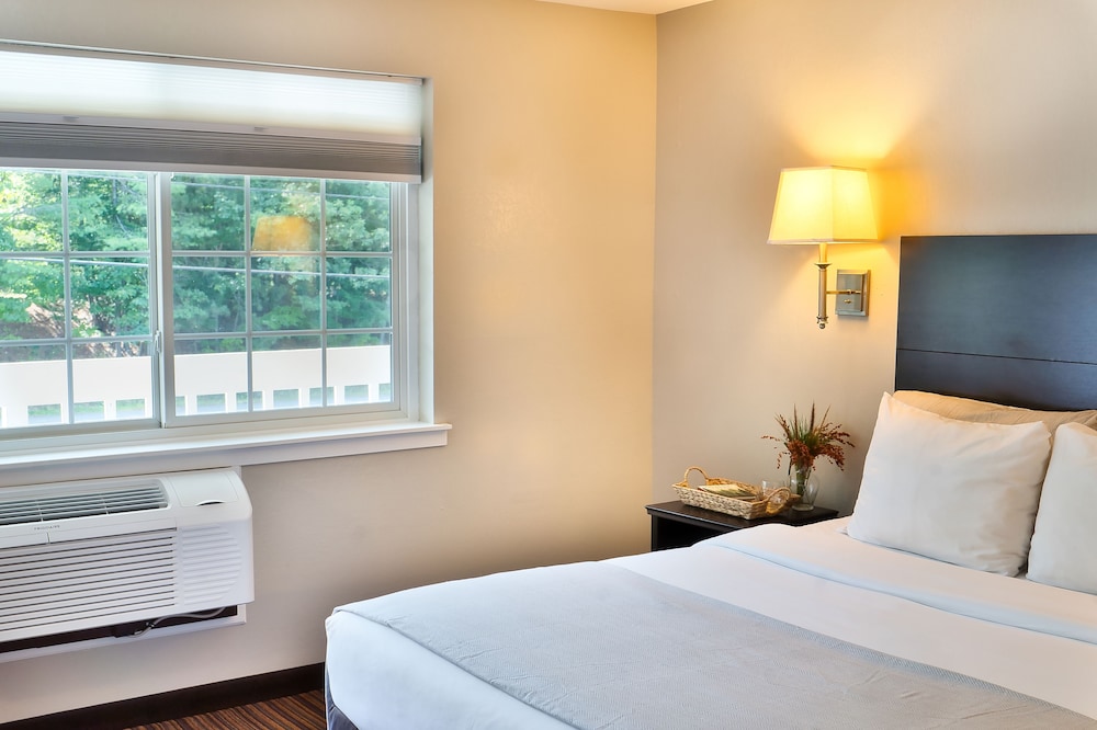 Classic Single Room - Photo 1