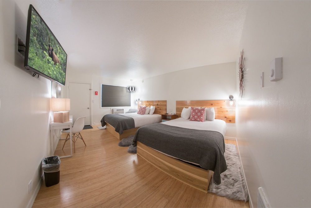 Basic Single Room, 2 Queen Beds photo 3