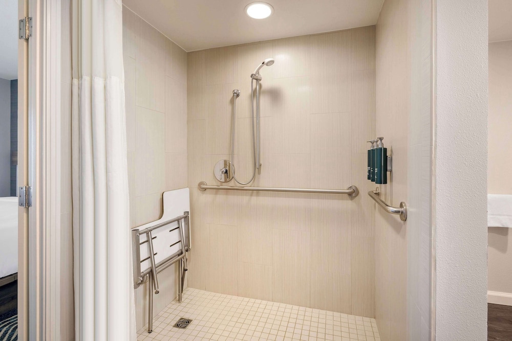 Suite, 1 Bedroom, Accessible, Kitchen (Roll-in Shower) - Photo 5