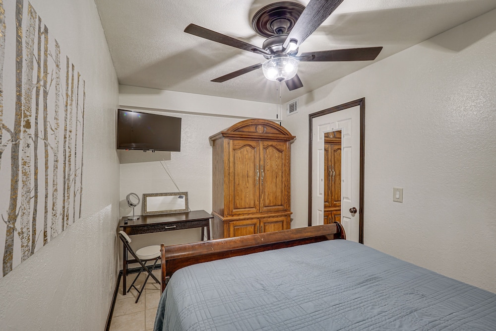Apartment (1 Bedroom) photo 3