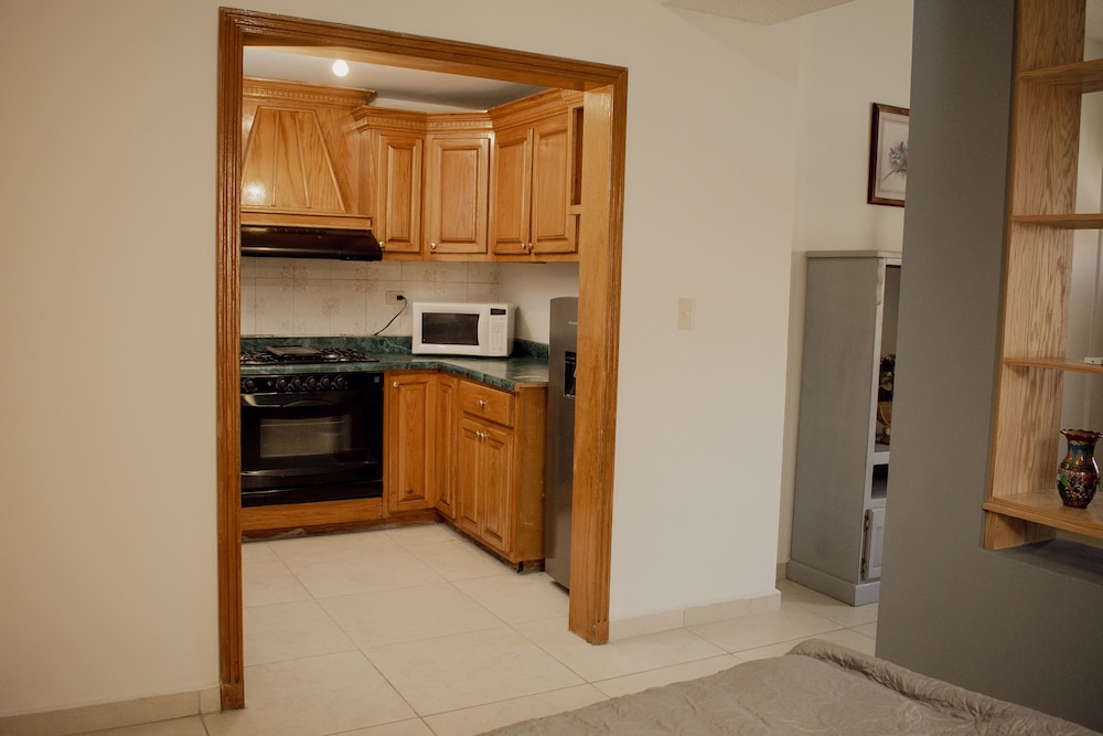 Standard Apartment photo 3