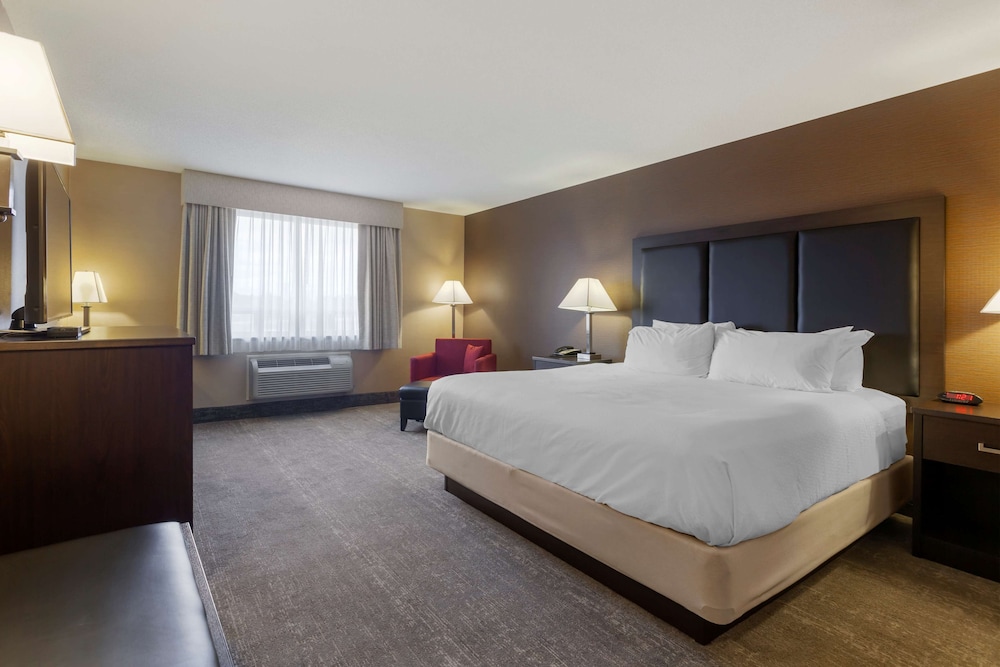 Executive Room, 1 King Bed, Non Smoking, Refrigerator & Microwave