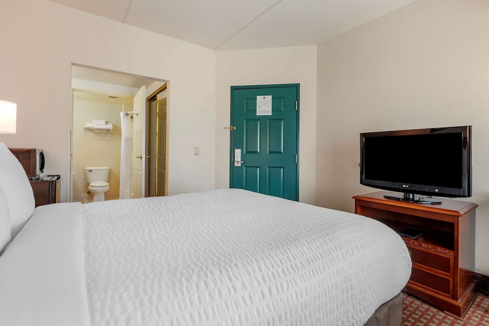 Room, 1 King Bed With Sofa Bed, Accessible, Non Smoking photo 3