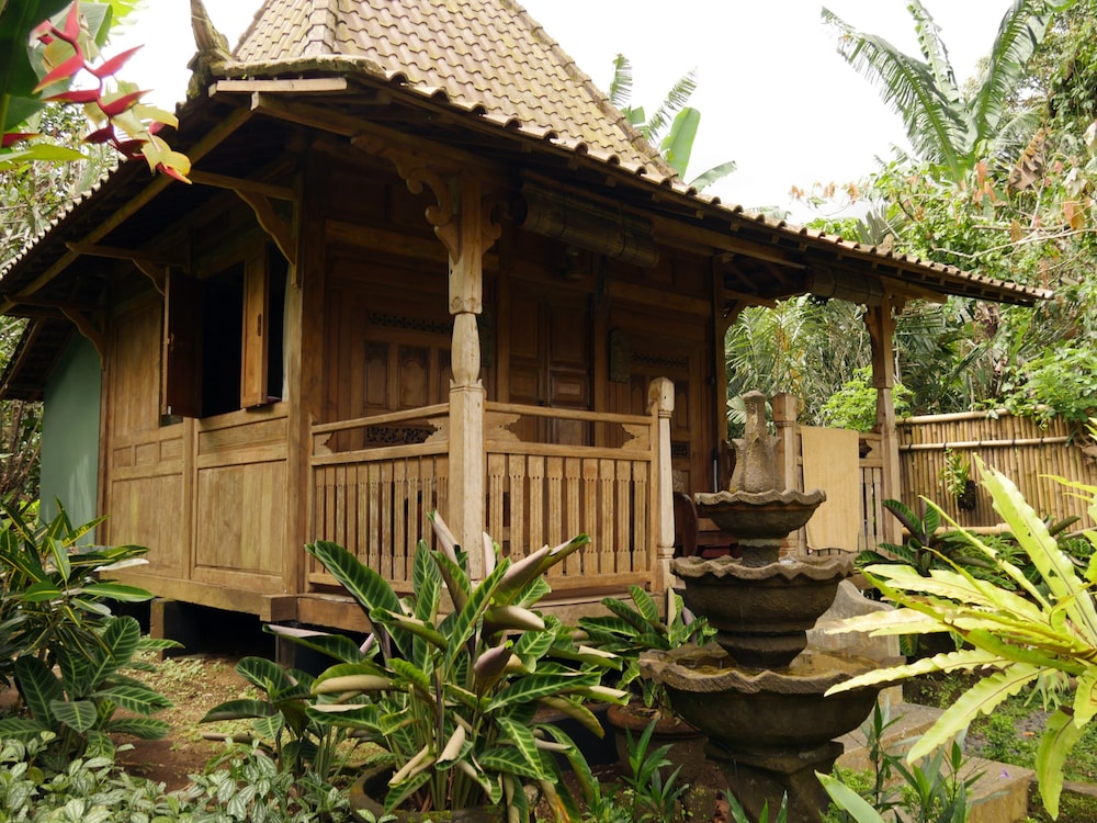 Superior Bungalow photo 1