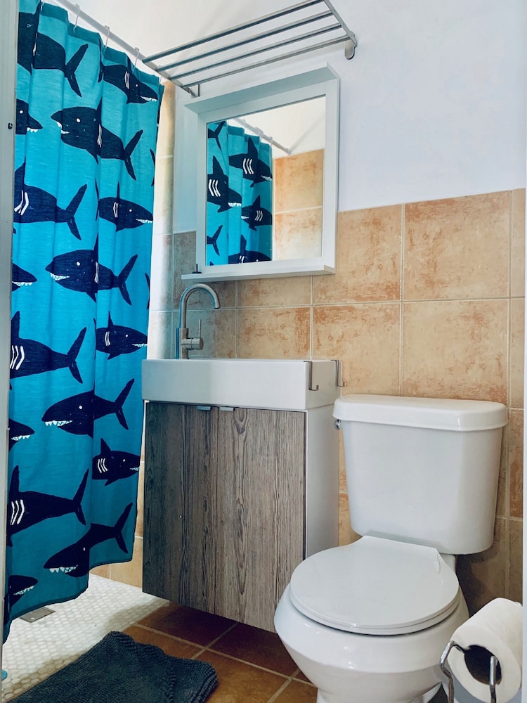 Dv 105 Junior Suite / Kitchenette / 1 King Size Bed, Oceanfront Property photo 2