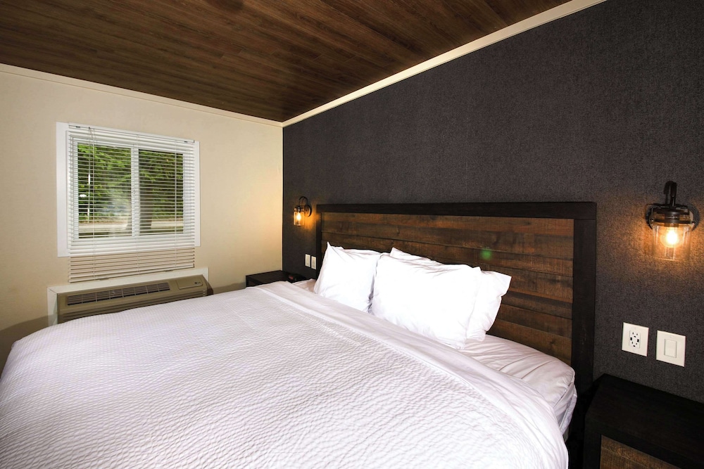 Suite, Multiple Beds, Non Smoking (Efficiency) photo 2