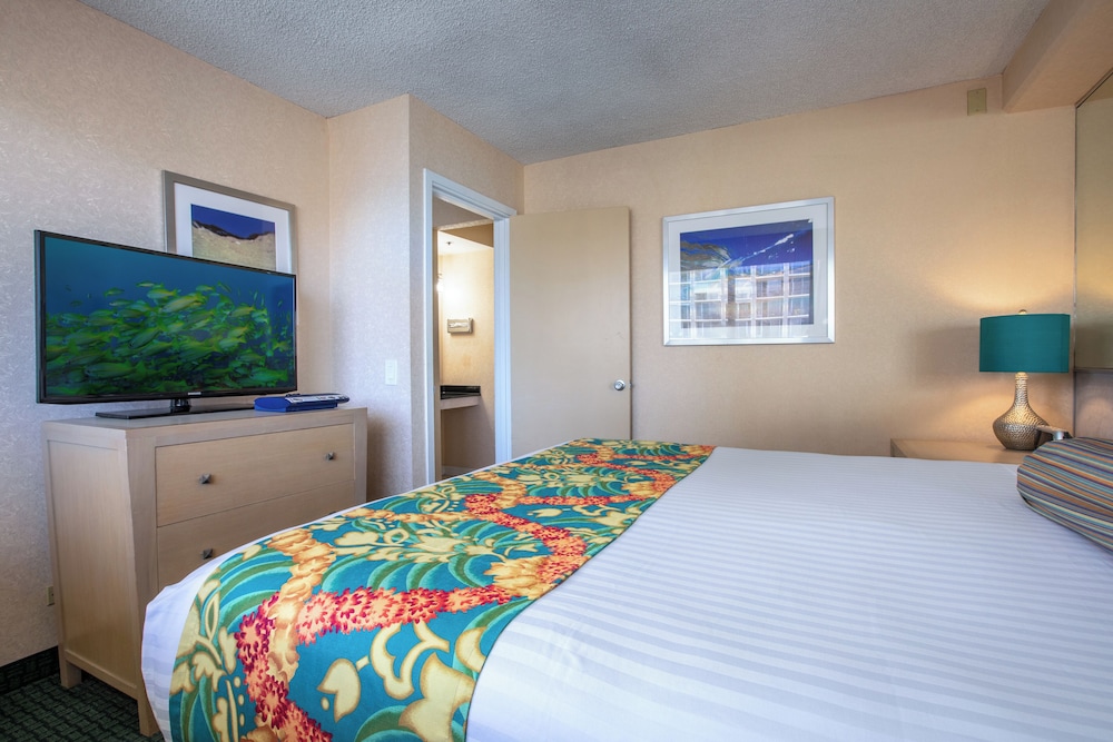 Suite, 1 Bedroom (FREE extra person) photo 3