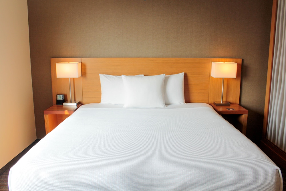 Deluxe Room, 1 King Bed with Sofa bed, City View photo 3