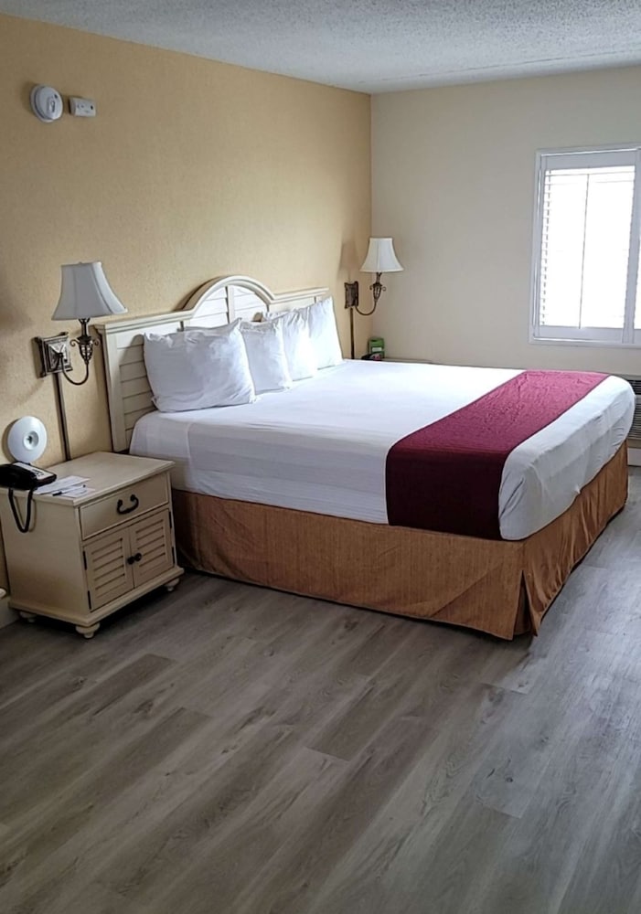 Standard Room, 1 King Bed, Refrigerator & Microwave, Annex Building (With Sofabed) photo 1