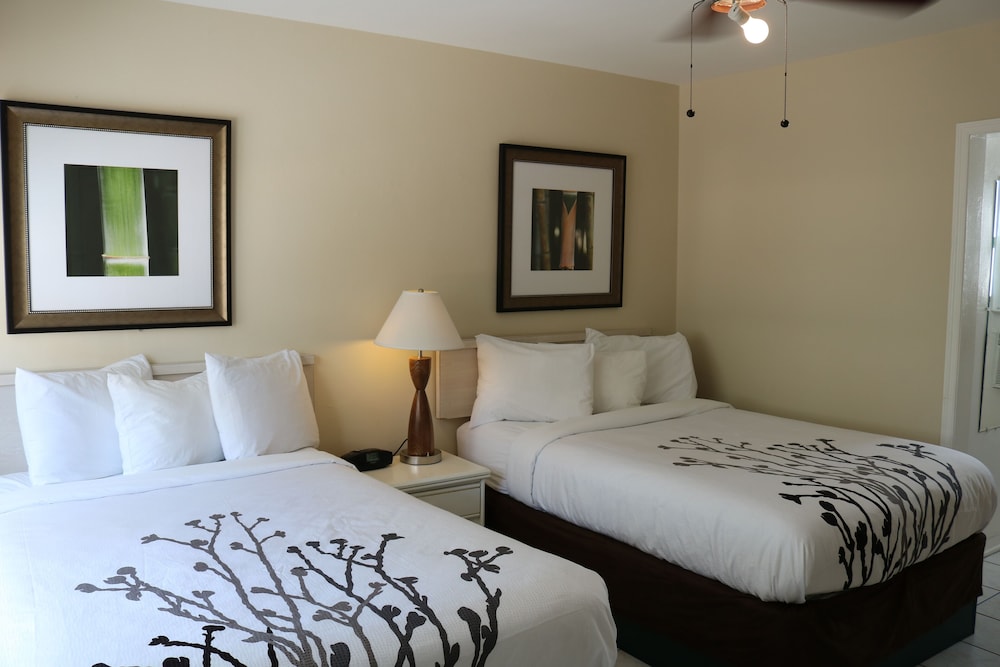 Room, 2 Double Beds, Kitchen, Courtyard View (1st Floor)