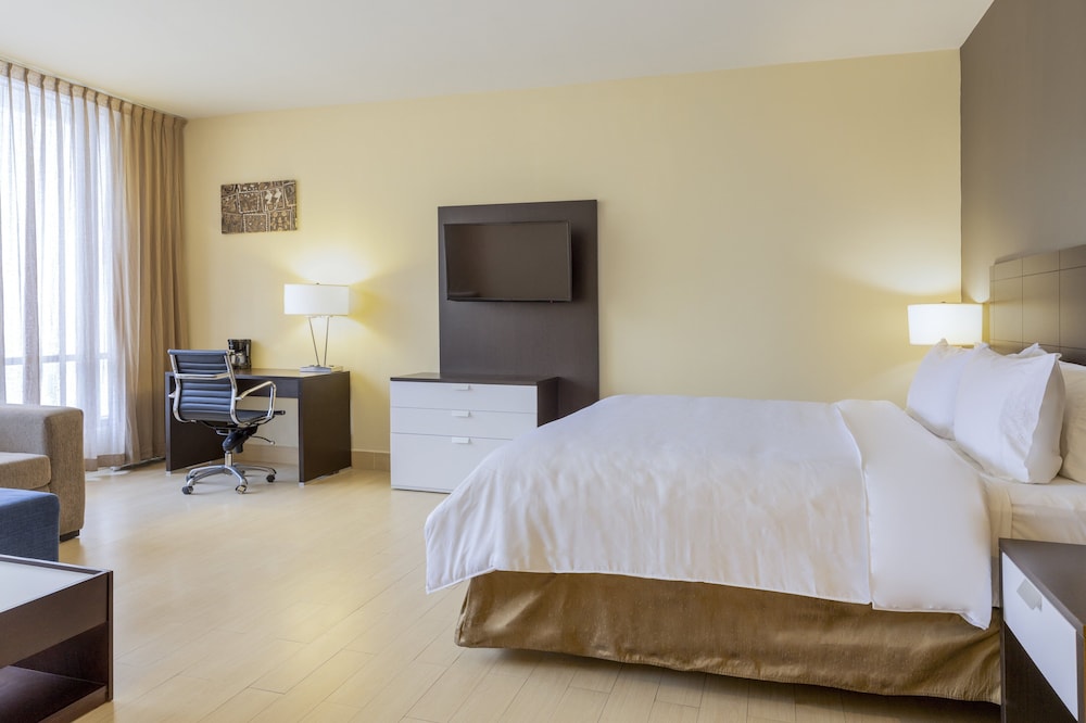 Suite, 1 King Bed