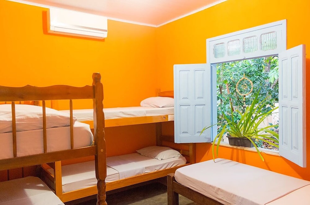 Shared Dormitory, Mixed Dorm photo 1