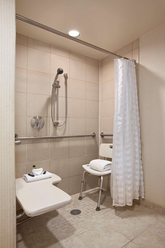 Premium Suite, 1 King Bed, Accessible, Non Smoking (Roll-in Shower) - Photo 5