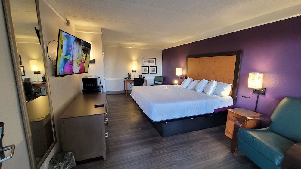 Luxury Suite photo 1