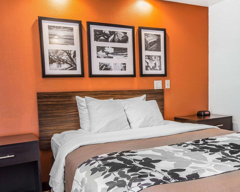 Room, 1 Queen Bed, Accessible, Non Smoking - Photo 2