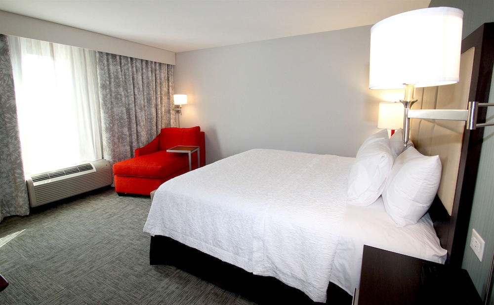 Room, 1 King Bed, Accessible, Non Smoking (Roll In Shower) photo 3