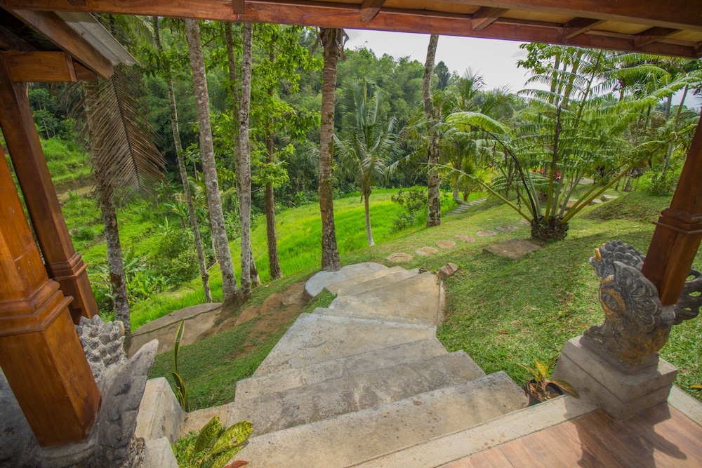 Bali Villa - Photo 14