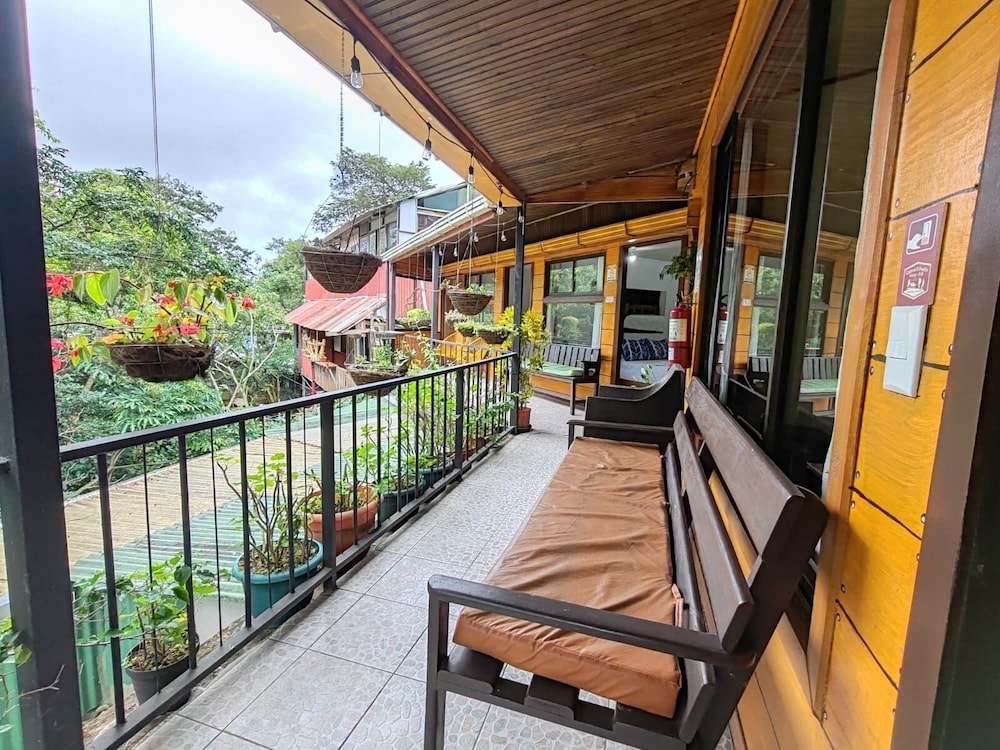 Family Room, Balcony, Garden View photo 3