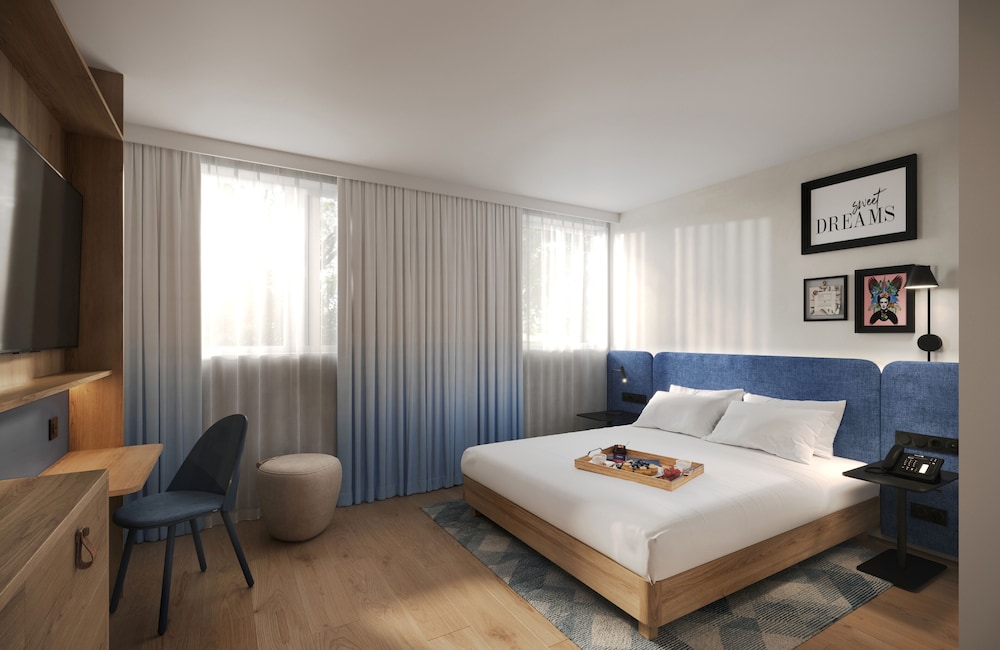 Room, 1 King Bed, Accessible photo 3