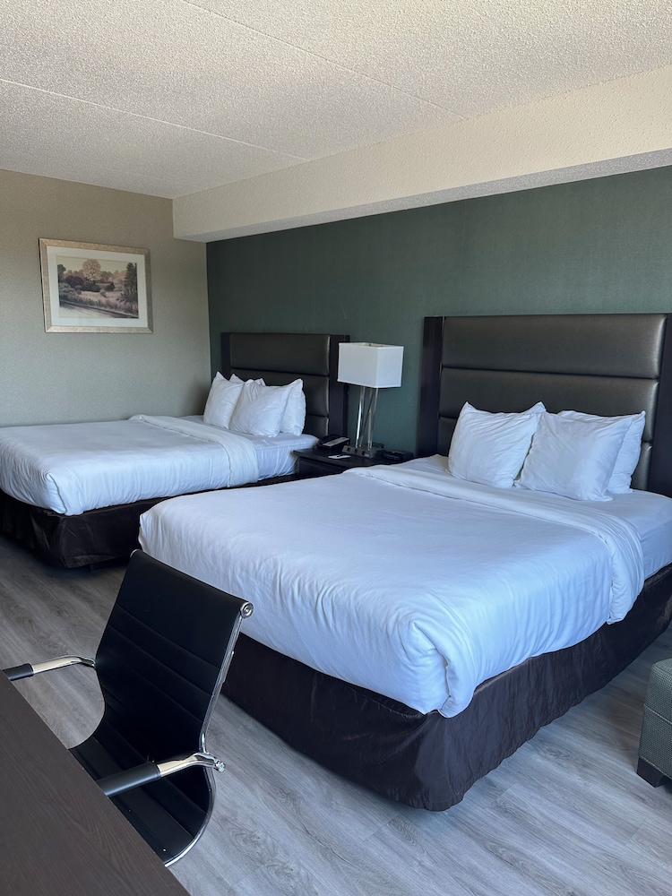 Standard Room, 2 Queen Beds photo 1