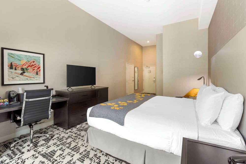 Room, 1 King Bed, Accessible, Non Smoking