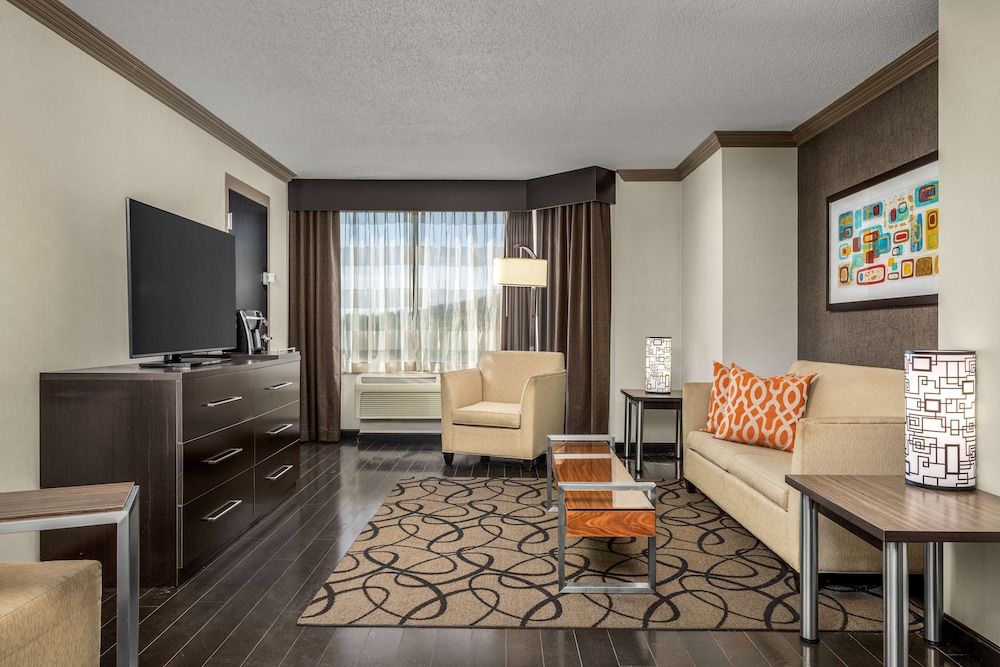 Suite, 1 Bedroom photo 3