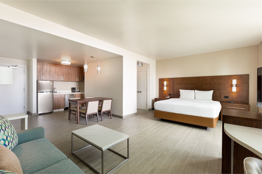Suite, 1 Bedroom - Photo 4