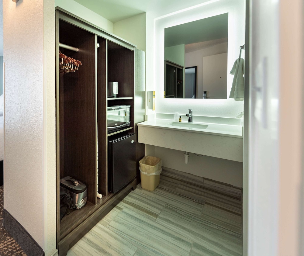 Standard Room, 1 King Bed, Non Smoking (Walk-in Shower;with Sofabed) - Photo 3