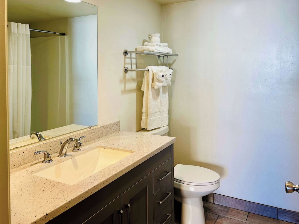 Deluxe Suite, 1 Queen Bed, Non Smoking, Kitchenette - Photo 8