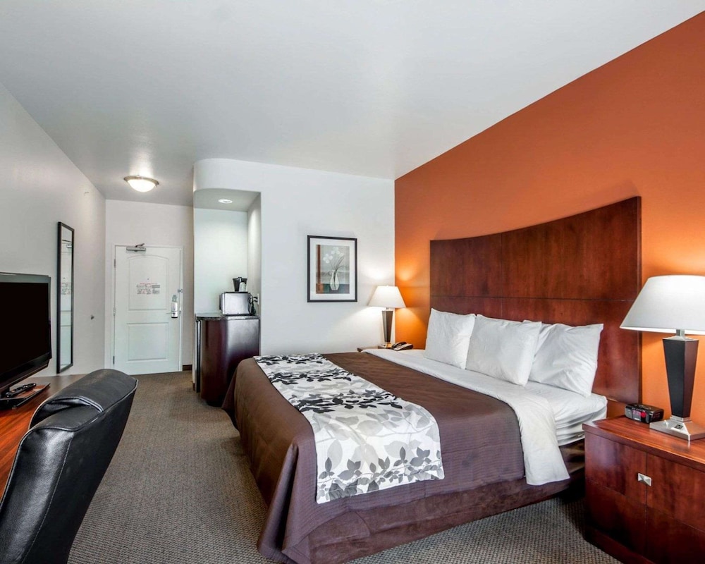 Suite, 1 King Bed with Sofa bed, Accessible, Non Smoking - Photo 2
